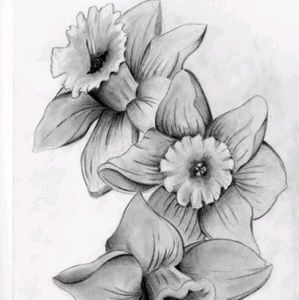 Meet your Posher, Bea